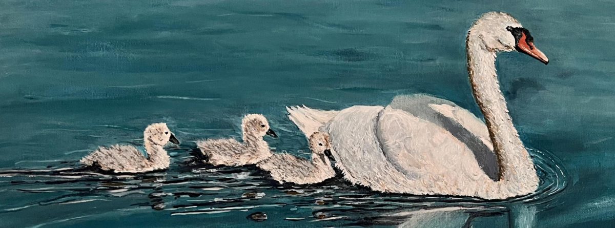 ryan.fleetwood@gmail.com